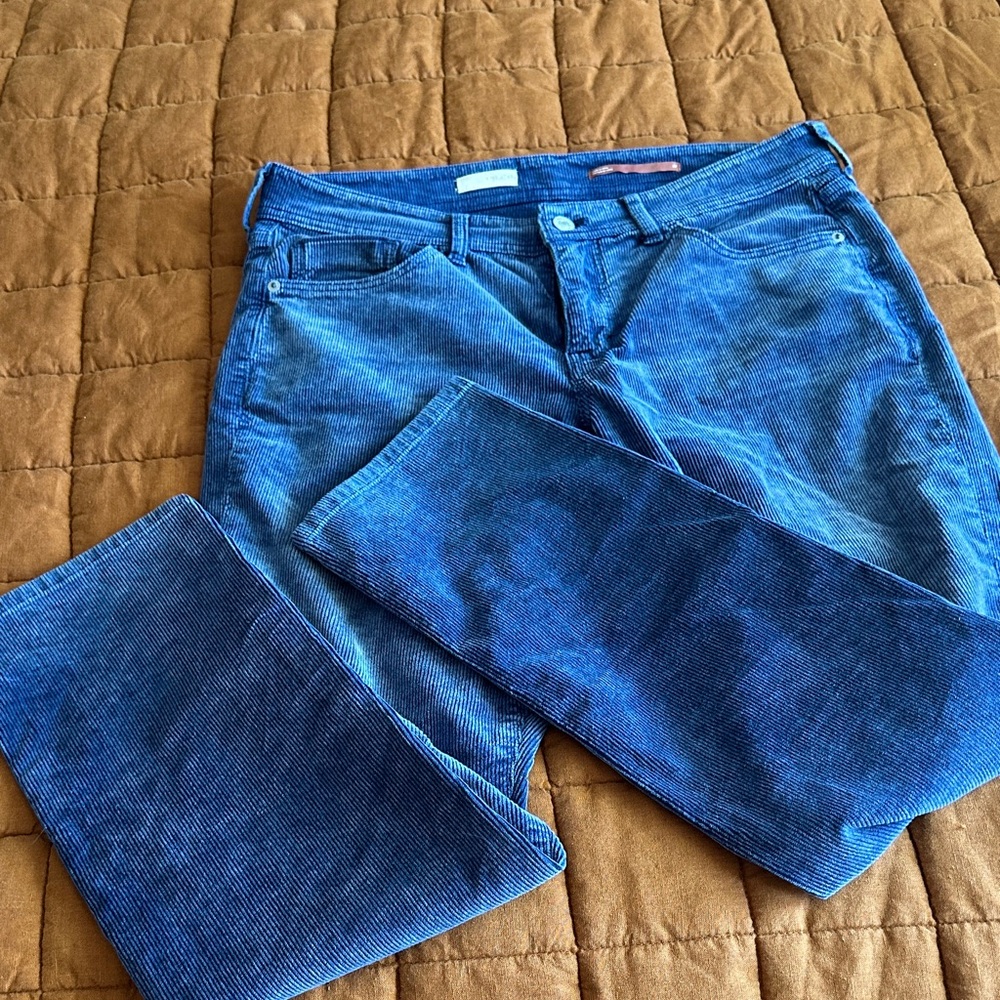 Pilcro Women’s Corduroys in Vibrant Blue